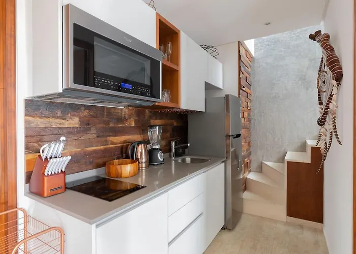 Ixchel Luxury Ph Priv Rooftop Pool 150 Wifi